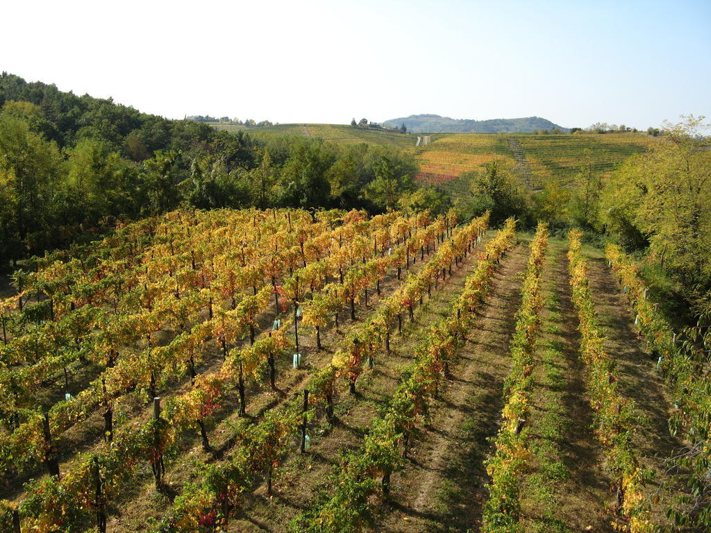 Bosco Romagno Villa Cividale del Friuli Eksteriør billede